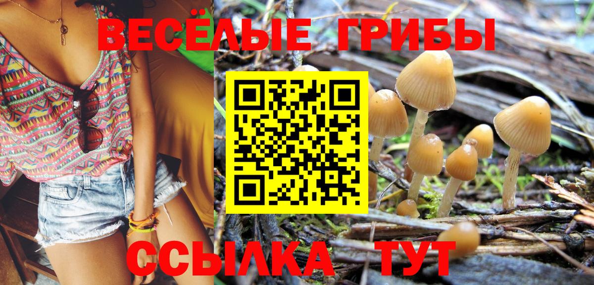 Псилоцибиновые грибы Magic Shrooms  Вход с VPN  Карачаевск 