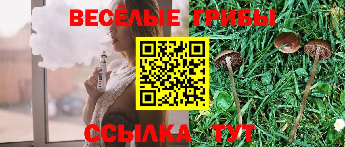 Галлюциногенные грибы мухоморы Карачаевск